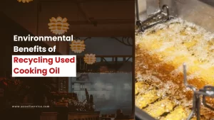 Environmental Benefits of Recycling Used Cooking Oil