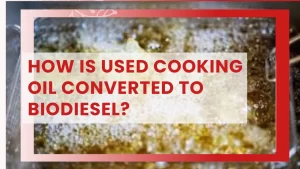 How is used cooking oil converted to biodiesel